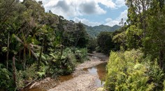 V kopcoch Nového Zélandu našli telo mladej Češky. Polícia už vie, čo bolo príčinou smrti, no nepozná okolnosti