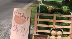 Kam sa vytratili slovenské dyne?