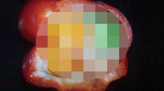 Ladislav odkrojil papriku z obchodu. Jej obsah ho viac než prekvapil