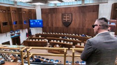 Škriepky straníckych kolegov kvôli Bombicovi. V parlamente sa ho ujal Lučanský, pre Radačovského je to neakceptovateľné