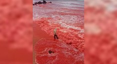 VIDEO: Ako výjav z biblie. More pri slávnej pláži zmenilo farbu na krvavočervenú