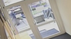 Vystresovaný diviak v Trenčíne napadol nielen ženu. Ošetrovali aj ďalších