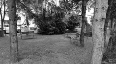 Mladý pár v opitosti zaškrtil v popradskom parku muža (†57)