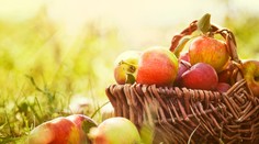 Neuveríte, ale po jablkách budete mať belšie zuby