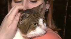 Mačka je osobnosť! A ich pradenie lieči