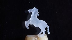 Veríte, že miniatúra koňa je iba zo zrnka ovsa?