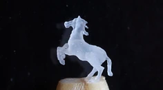 Veríte, že miniatúra koňa je iba zo zrnka ovsa?