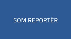 Som reportér