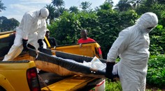 WHO zrušila najvyšší stupeň varovania pred ebolou