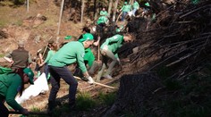 Zacvičili si a ešte aj pomohli životnému prostrediu. Desiatky dobrovoľníkov zasadilo tisícky stromov