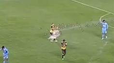 VIDEO: Bol hviezdou zápasu, opúšťal ho v slzách s hororovým zážitkom. Futbalistu postihla nevídaná smola