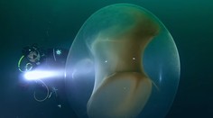 Potápači, ktori skúmali vrak lode, narazili na veľkú raritu. Ako presne vzniká, je záhada