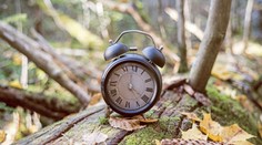 ANKETA: Slováci jednoznačne rozhodli, podľa ktorého času by chceli fungovať