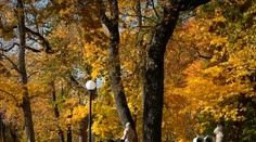 V sobotu bude priaznivo, jesenný víkend spríjemnia slnečné lúče