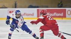 Chytenie pod krk a zlomená sánka. Dvojica reprezentantov z Nitry sa pobila na florbalovom turnaji