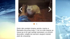 Len 15-ročný chalan si spravil biznis. Zneužíval na to zvieratá