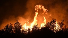 Chorvátsko: Hasiči bojujú s lesným požiarom na Hvare; vyžiadal si už jednu obeť