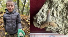 Veľký objav malého paleontológa. Jakub (11) našiel zub žraloka starý takmer 14 miliónov rokov