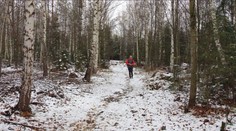 Presne pred 20 rokmi Tatry spustošilo počasie. Pozrite sa, ako sa naše hory odvtedy zmenili