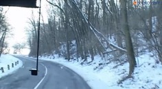 Úsek cesty, na ktorom stromy ohrozujú životy vodičov