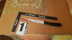 Po vražde tehotnej tínedžerky vyplávali na povrch nové skutočnosti, vražda mala mať svedkov