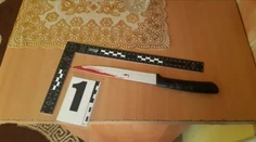 Po vražde tehotnej tínedžerky vyplávali na povrch nové skutočnosti, vražda mala mať svedkov