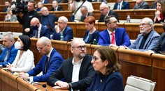 Opozíciu teší pád vlády, v otázke predčasných volieb jednotná nie je