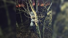 Polícia ho nazvala hyenou v ľudskej koži. Vypátrali sme muža, ktorý mal na strome obesiť psa