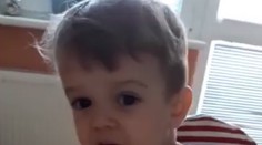 Má iba dva roky a už pobláznil internet: Pozrite si, ako malý chlapec zarecitoval Mor ho!