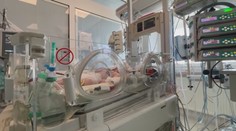 Šesťmesačnú dcérku mali udierať do tváre a hrudníka, krátko nato zomrela. Rodičia sa postavili pred súd
