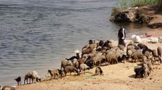 Na úpal zomrelo v Egypte od nedele 61 ľudí