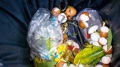 Budete prekvapení, koľko kilogramov jedla vyhodí priemerný Slovák za rok