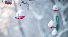 V nedeľu cez deň môže pocitová teplota dosiahnuť až – 15 °C. SHMÚ zverejnil, kde bude najchladnejšie