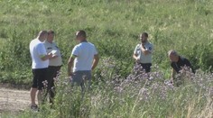 Krádeže dobytka na východe pokračujú: Zlodeji sa presunuli do týchto okresov