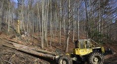 Horehronie v problémoch. Vláda pre šírenie lykožrúta nevylučuje vyhlásenie mimoriadnej situácie