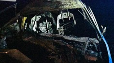 FOTO: Po náraze do stromu uhorel mladý vodič. Polícia zverejnila detailné snímky auta