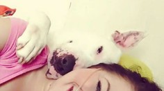 Odmietla liečbu a zverejnila poslednú foto. Radšej budem anjelom