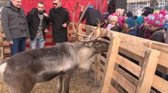 Na Slovensko prišli po prvýkrát soby. Najviac sa tešili deti