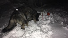 Lavína vo Vysokých Tatrách usmrtila dvoch turistov. Do hôr sa vybrali aj napriek varovaniam chatárov