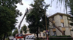 FOTO: Víchrica na Slovensku spôsobila energetickú kalamitu. Bez elektriny zostalo vyše 20-tisíc domácností