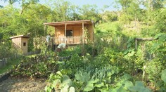 Mladý pár žije v drevenom domčeku uprostred prírody. Pozrite sa, ako to v ňom vyzerá