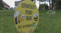 Niektoré mestá sa rozhodli nekosiť vybrané lokality. Nie všetkým sa to páči