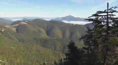 V Nízkych Tatrách vraj zlikvidujú veľkú časť lesov, v ktorých prežívajú vzácne hlucháne