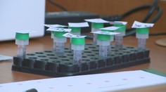 HIV sa čoraz častejšie šíri medzi heterosexuálmi. Pozreli sme sa na situáciu na Slovensku