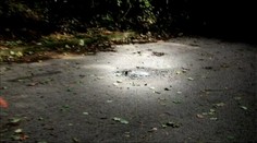 Beštiálny čin! Mŕtvy ľudský plod niekto zahodil na parkovisku v Leviciach