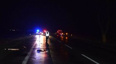 Zastala na krajnici a vošla na cestu. Kamionista sa jej vyhol, no vzápätí ju zrazil iný vodič. Nehodu neprežila