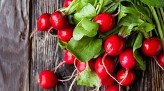 Reďkovková polievka