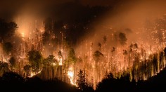 Hasiči štvrtý deň bojujú s požiarom v Českom Švajčiarsku, kraj zakázal vstup do lesa