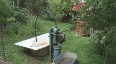 Studne vysychajú, voda sa míňa. Slovenskí záhradkári obetujú aj vlastné potešenie, aby zachránili úrodu