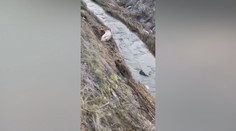 Vypúšťanie rybníka sa vymklo spod kontroly. Uhynuli stovky rýb, miestni žiadajú vysvetlenie